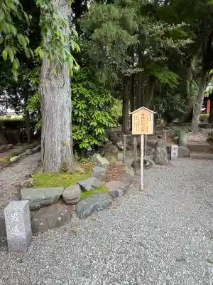 新橋浅間神社の{uncategorized: "未分類", other: "その他", undefined: "問題あり", building: "その他建物", grave: "お墓", sacred_gate: "鳥居", guardian: "狛犬", statue: "像", buddha: "仏像", history: "歴史", nature: "自然", garden: "庭園", animal: "動物", pagoda: "塔", temizu: "手水舎", mountain_gate: "山門・神門", sanctuary: "本殿・本堂", subordinate: "末社・摂社", art: "芸術", scenery: "景色", jizo: "地蔵", ema: "絵馬", goshuin: "御朱印", omikuji: "おみくじ", items: "授与品その他", amulet: "お守り", goshuincho: "御朱印帳", eats: "食事", festival: "お祭り", votive_dance: "神楽", shichigosan: "七五三参", wedding: "結婚式", experience: "体験その他", initially: "初詣", around: "周辺", anti_infection: "感染症対策"}