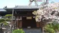 圓通寺の本殿・本堂