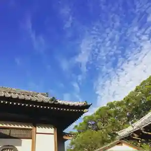 信行寺の景色(2020年10月21日(水) 07時55分05秒投稿)
