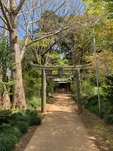 日枝神社の鳥居