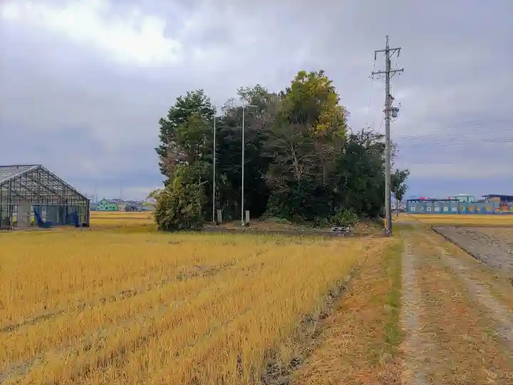八劔社(宇治町)の自然