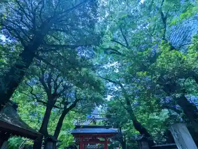 愛宕神社(東京都)