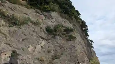 江の島岩屋の自然