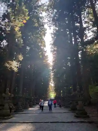 北口本宮冨士浅間神社の建物その他