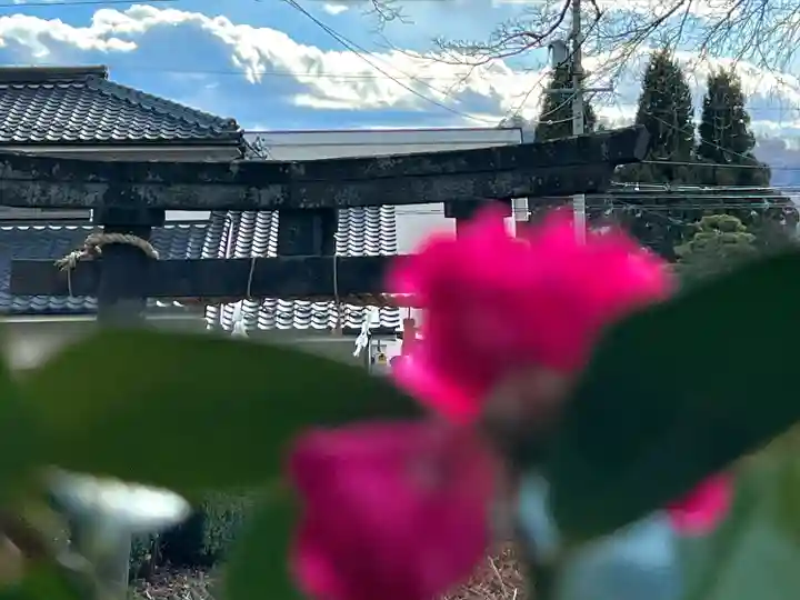 縣諏訪神社(長野県)