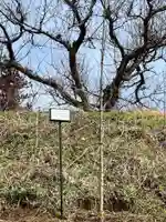 国宝 大法寺(長野県)