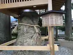 飛騨一宮水無神社の自然