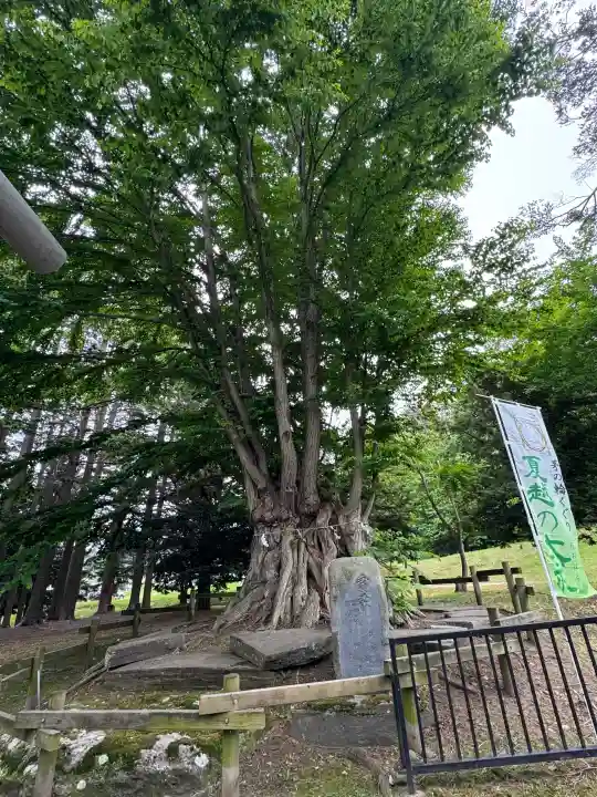 美幌神社(北海道)