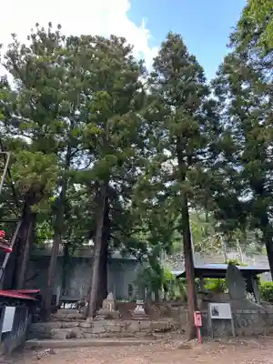 初鹿野諏訪神社(山梨県)