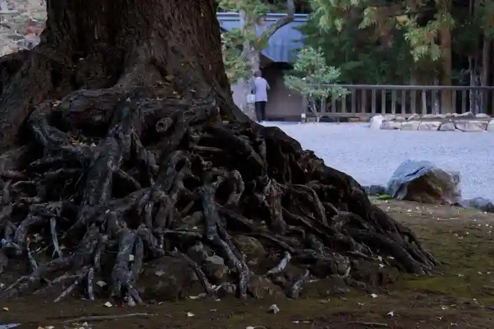 安房神社(千葉県)