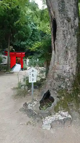 葛城一言主神社の自然