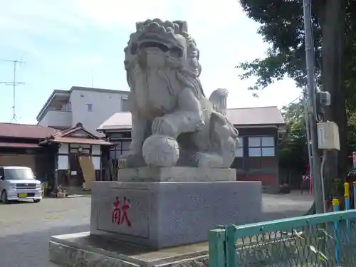 杉山社（上星川鎮守）の狛犬