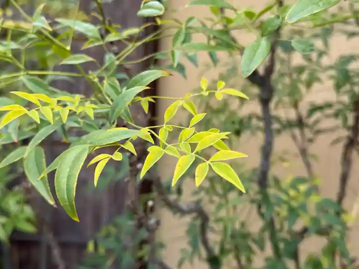 西方山極楽寺(岐阜県)