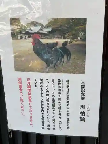 玉祖神社(山口県)