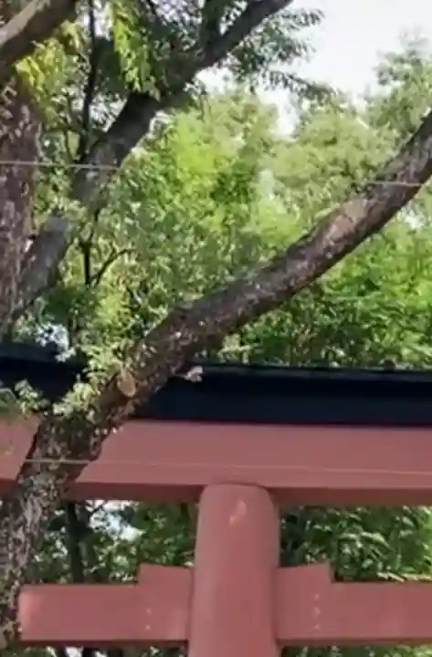 武蔵一宮氷川神社(埼玉県)