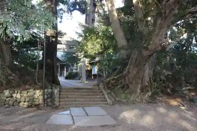 縣神社(千葉県)