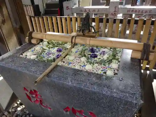 高円寺氷川神社の手水