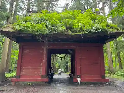 戸隠神社奥社(長野県)