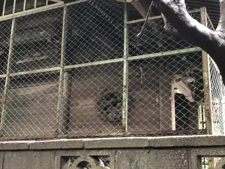 出雲乃伊波比神社のその他建物