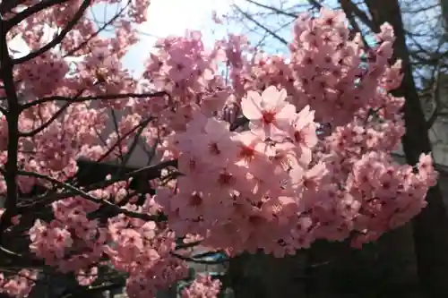 阿邪訶根神社の庭園