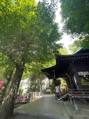 弥生神社の{uncategorized: "未分類", other: "その他", undefined: "問題あり", building: "その他建物", grave: "お墓", sacred_gate: "鳥居", guardian: "狛犬", statue: "像", buddha: "仏像", history: "歴史", nature: "自然", garden: "庭園", animal: "動物", pagoda: "塔", temizu: "手水舎", mountain_gate: "山門・神門", sanctuary: "本殿・本堂", subordinate: "末社・摂社", art: "芸術", scenery: "景色", jizo: "地蔵", ema: "絵馬", goshuin: "御朱印", omikuji: "おみくじ", items: "授与品その他", amulet: "お守り", goshuincho: "御朱印帳", eats: "食事", festival: "お祭り", votive_dance: "神楽", shichigosan: "七五三参", wedding: "結婚式", experience: "体験その他", initially: "初詣", around: "周辺", anti_infection: "感染症対策"}
