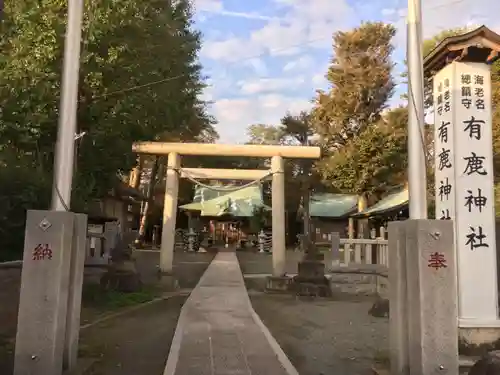 有鹿神社の鳥居