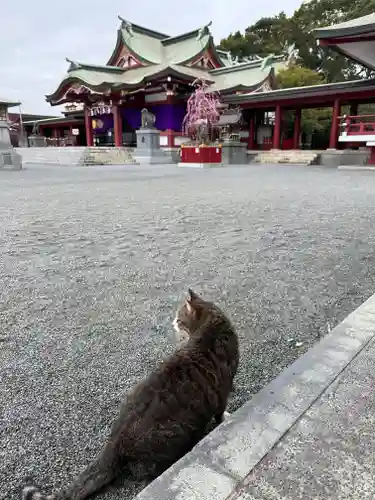 篠崎八幡神社(福岡県)