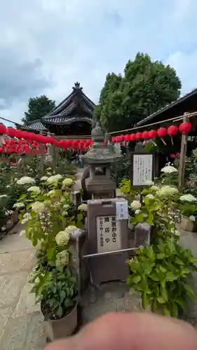 おふさ観音（観音寺）(奈良県)