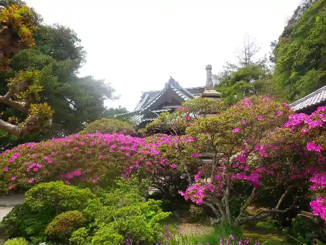 安養院 (田代寺)のその他建物