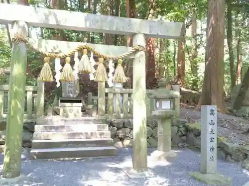 椿大神社の鳥居