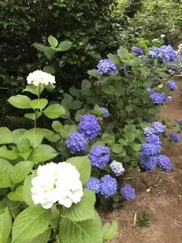 観音寺の庭園