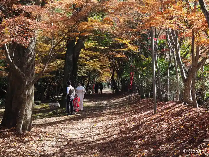 金剛院(京都府)