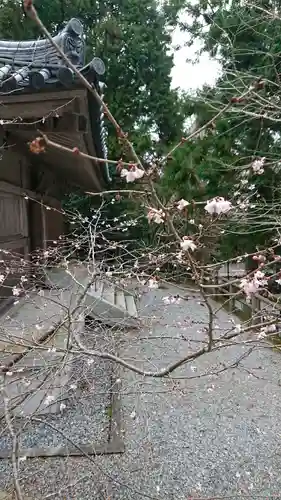 播州清水寺の自然