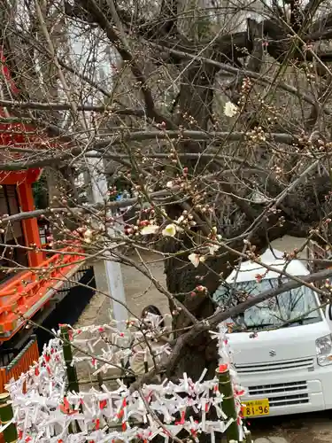 花園神社の自然