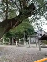 高龗神社のその他建物