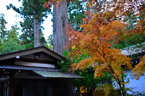 円覚寺(神奈川県)