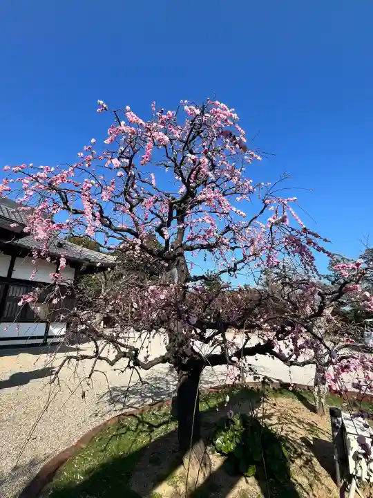 比佐豆知神社の{uncategorized: "未分類", other: "その他", undefined: "問題あり", building: "その他建物", grave: "お墓", sacred_gate: "鳥居", guardian: "狛犬", statue: "像", buddha: "仏像", history: "歴史", nature: "自然", garden: "庭園", animal: "動物", pagoda: "塔", temizu: "手水舎", mountain_gate: "山門・神門", sanctuary: "本殿・本堂", subordinate: "末社・摂社", art: "芸術", scenery: "景色", jizo: "地蔵", ema: "絵馬", goshuin: "御朱印", omikuji: "おみくじ", items: "授与品その他", amulet: "お守り", goshuincho: "御朱印帳", eats: "食事", festival: "お祭り", votive_dance: "神楽", shichigosan: "七五三参", wedding: "結婚式", experience: "体験その他", initially: "初詣", around: "周辺", anti_infection: "感染症対策"}