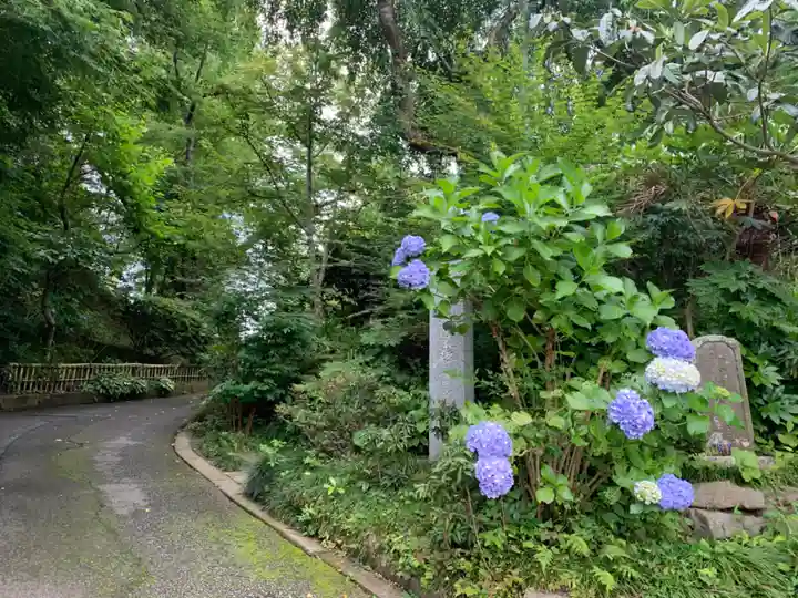 法眼寺(千葉県)