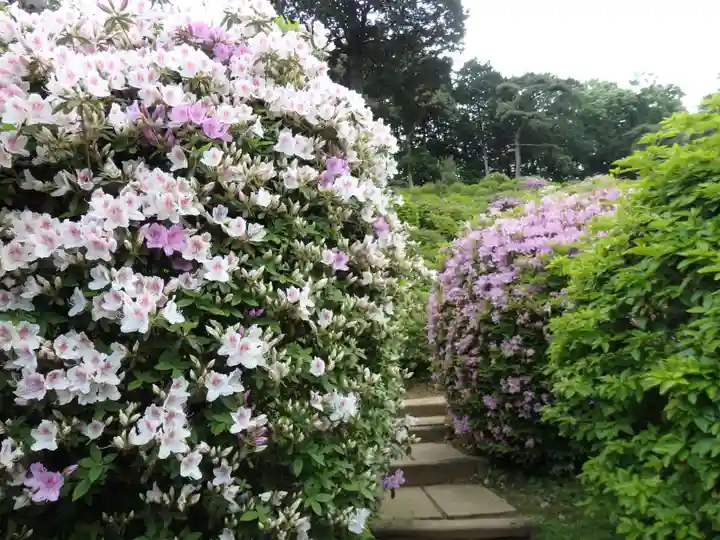 塩船観音寺の自然