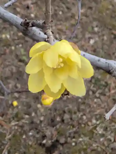 寳幢院(東京都)