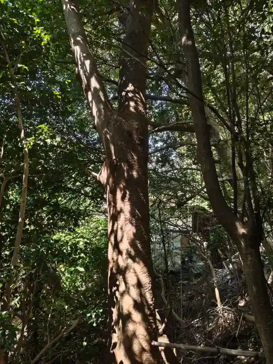 冨塚八幡宮(神奈川県)