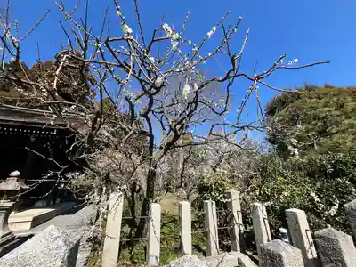 城南宮(京都府)