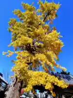 浄光寺(愛知県)