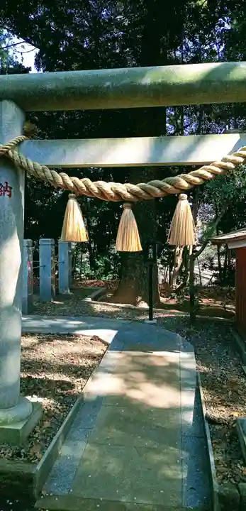 大宮・大原神社(千葉県)