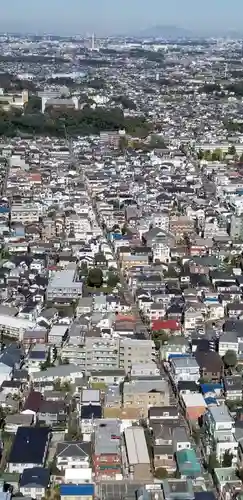 春日神社の景色