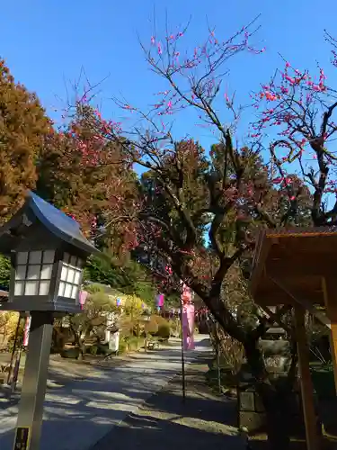 芳賀天満宮のその他建物