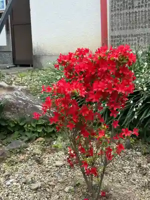 崇道天皇社の{uncategorized: "未分類", other: "その他", undefined: "問題あり", building: "その他建物", grave: "お墓", sacred_gate: "鳥居", guardian: "狛犬", statue: "像", buddha: "仏像", history: "歴史", nature: "自然", garden: "庭園", animal: "動物", pagoda: "塔", temizu: "手水舎", mountain_gate: "山門・神門", sanctuary: "本殿・本堂", subordinate: "末社・摂社", art: "芸術", scenery: "景色", jizo: "地蔵", ema: "絵馬", goshuin: "御朱印", omikuji: "おみくじ", items: "授与品その他", amulet: "お守り", goshuincho: "御朱印帳", eats: "食事", festival: "お祭り", votive_dance: "神楽", shichigosan: "七五三参", wedding: "結婚式", experience: "体験その他", initially: "初詣", around: "周辺", anti_infection: "感染症対策"}