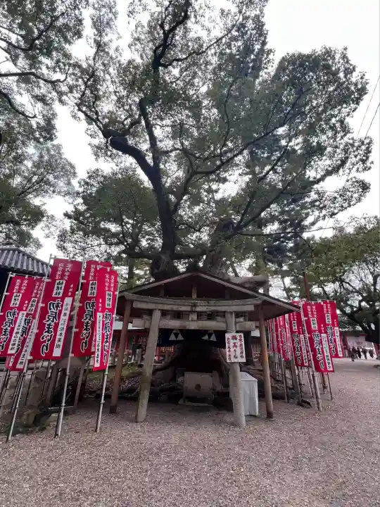 住吉大社(大阪府)