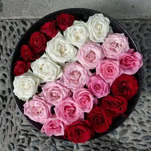 帯廣神社の手水舎