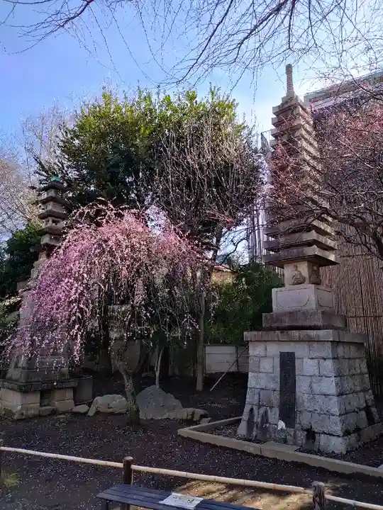 新井薬師(梅照院)(東京都)